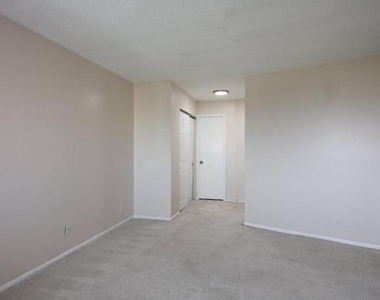 307 Yoakum Parkway - Photo Thumbnail 11