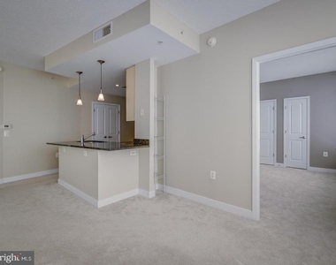 820 N Pollard Street - Photo Thumbnail 15