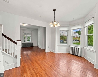 238 Osborne Street - Photo Thumbnail 14