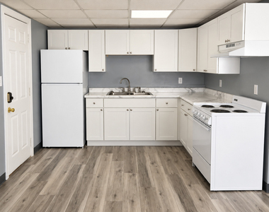 345 N Shabbona Street - Photo Thumbnail 2