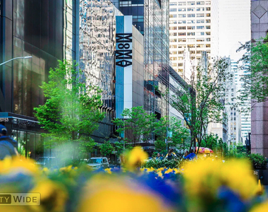 222 East 51st Street - Photo Thumbnail 5