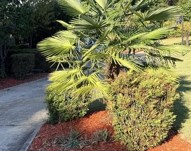 1730 Heatherstone Hollow Se - Photo Thumbnail 1