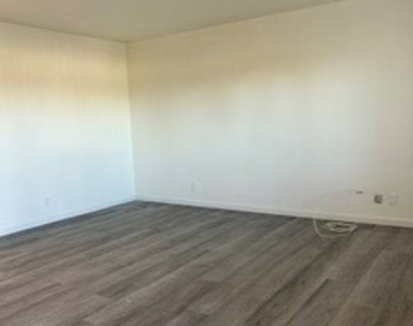 15954 Olive - Photo Thumbnail 2