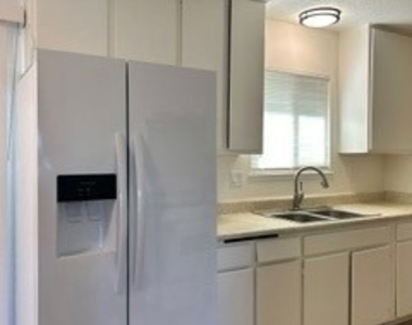 15954 Olive - Photo Thumbnail 3