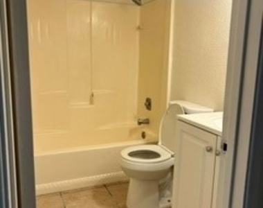 15954 Olive - Photo Thumbnail 4