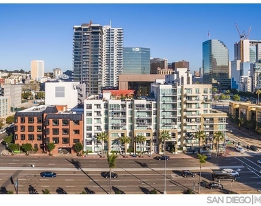 1431 Pacific Hwy - Photo Thumbnail 14