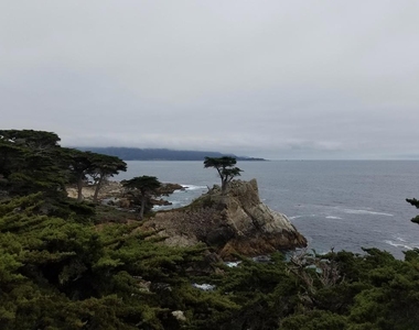 280 Casanova Street - Photo Thumbnail 42