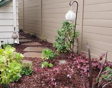 280 Casanova Street - Photo Thumbnail 39