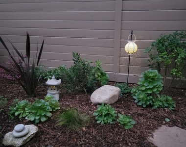 280 Casanova Street - Photo Thumbnail 31