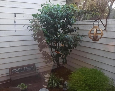 280 Casanova Street - Photo Thumbnail 19