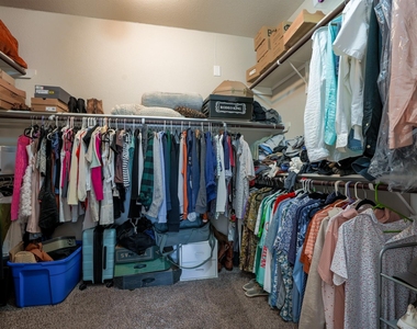 156 Plantain Dr - Photo Thumbnail 18