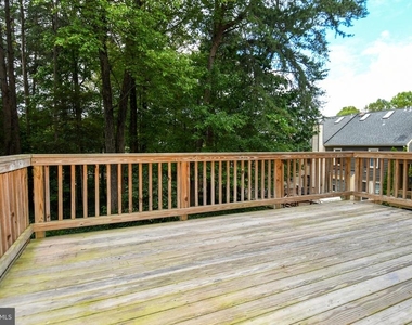 11725 Great Owl Circle - Photo Thumbnail 22
