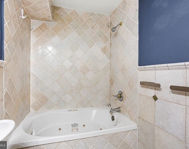 343 Tavistock - Photo Thumbnail 19
