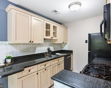 343 Tavistock - Photo Thumbnail 9