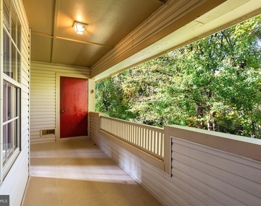 343 Tavistock - Photo Thumbnail 12