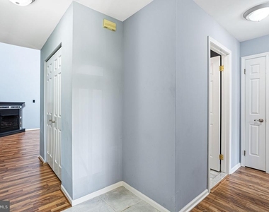 343 Tavistock - Photo Thumbnail 2