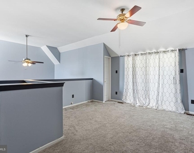343 Tavistock - Photo Thumbnail 26