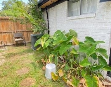 222 Caplin Street - Photo Thumbnail 11