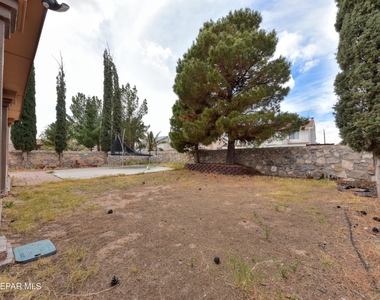 3009 Lake Spier Drive - Photo Thumbnail 42