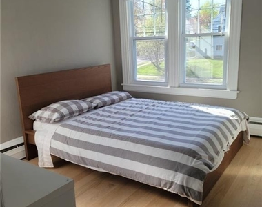 534 Fern Street - Photo Thumbnail 19