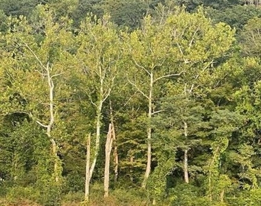220 Main Street - Photo Thumbnail 2