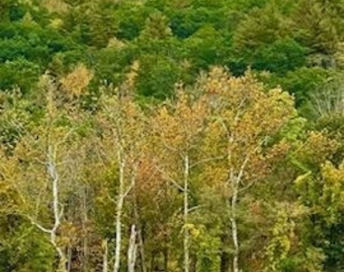 220 Main Street - Photo Thumbnail 15