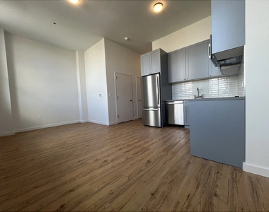 991 St Johns Pl Crown Heights - Photo Thumbnail 4