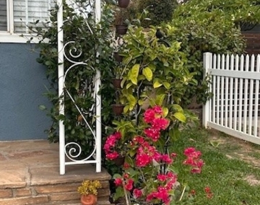 317 Morris Place - Photo Thumbnail 1
