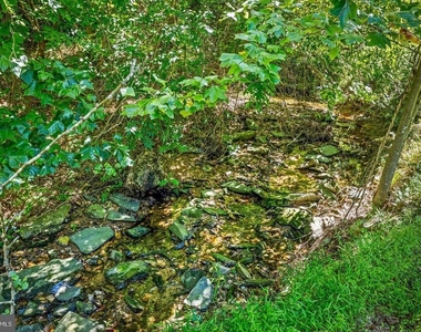 4 Carolina Avenue - Photo Thumbnail 42