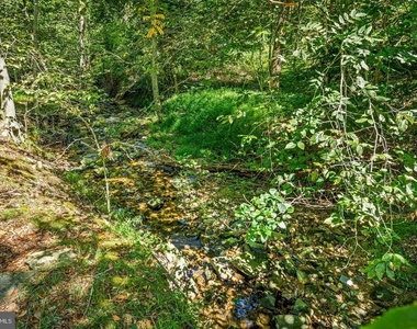 4 Carolina Avenue - Photo Thumbnail 52