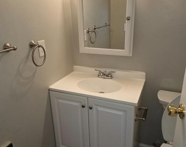 425 Blossom Tree Court - Photo Thumbnail 13