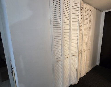 535 N Michigan Avenue - Photo Thumbnail 12