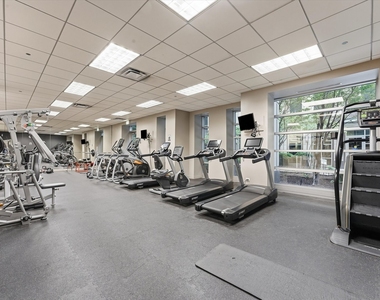 700 N Larrabee Street - Photo Thumbnail 17