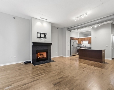 700 N Larrabee Street - Photo Thumbnail 9