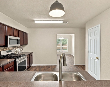 11007 Bauer Elm Street - Photo Thumbnail 12