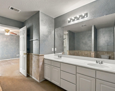 11007 Bauer Elm Street - Photo Thumbnail 23
