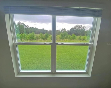 3992 Fescue Street - Photo Thumbnail 20
