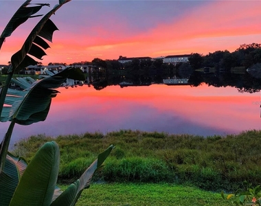 148 Maitland Avenue - Photo Thumbnail 18
