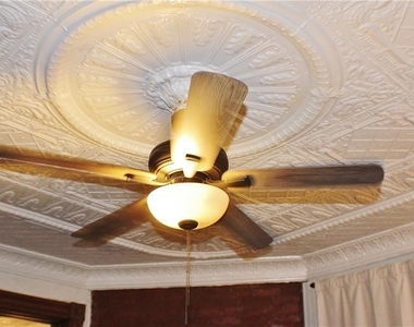 239 Lehigh - Photo Thumbnail 9