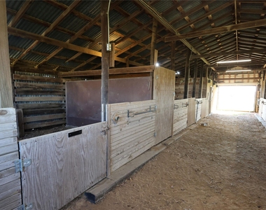 3800 Dr Griffin Road - Photo Thumbnail 21