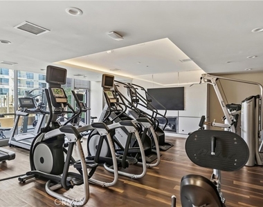 9 Macarthur Place - Photo Thumbnail 56