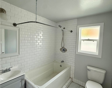 8447 Serapis - Photo Thumbnail 4