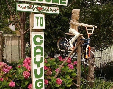 177 Lawrence Ave - Photo Thumbnail 37