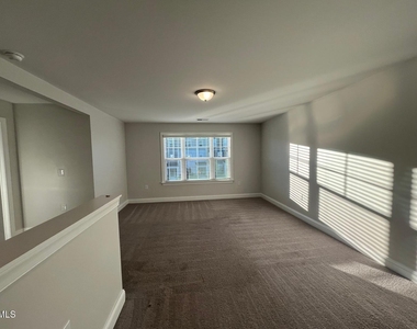 1347 Rosepine Drive - Photo Thumbnail 18