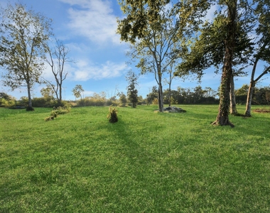 4503 Patterson Lane - Photo Thumbnail 10