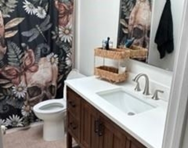 251 Harbour Row Drive - Photo Thumbnail 10