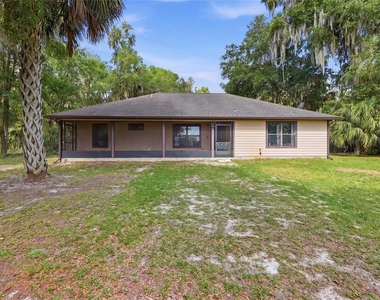 173 Little Orange Lake Drive - Photo Thumbnail 7
