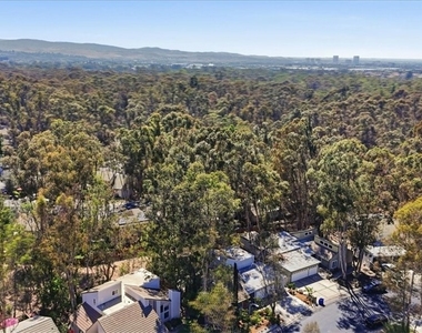 25045 Castlewood - Photo Thumbnail 3