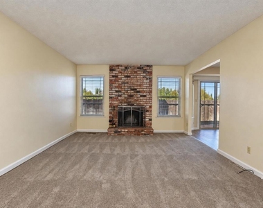 817 Basalt Way - Photo Thumbnail 5