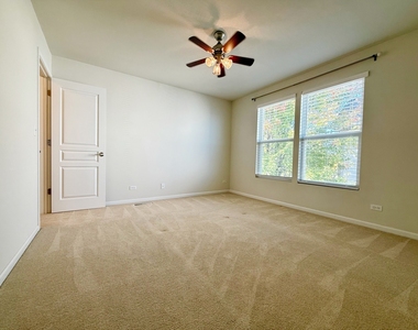 206 Chapin Way - Photo Thumbnail 17